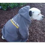 Dogs Playing For Life Organization