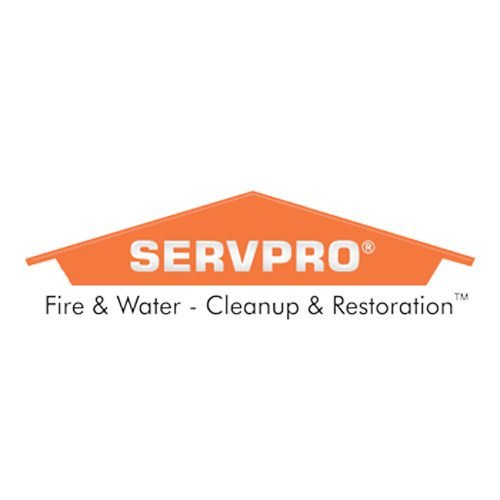 ServPro Disaster Restoration Franchising Logo