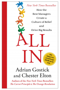 all-in-cover all-in-cover