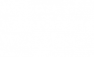 fri-culture-of-franchising-workshop-logo-wht_rgb fri-culture-of-franchising-workshop-logo-wht_rgb